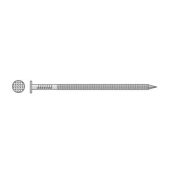 Common Nail, Ring Shank, Checkered Head, Stainless Steel