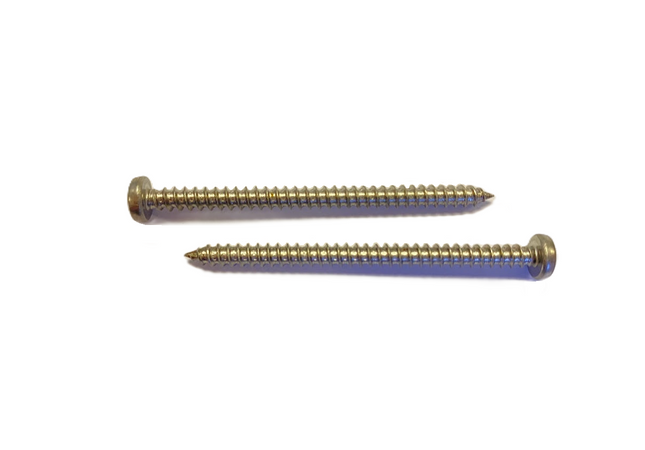 #6 Pan Head Sheet Metal Screws, Self-Tapping, 18-8 Stainless Steel